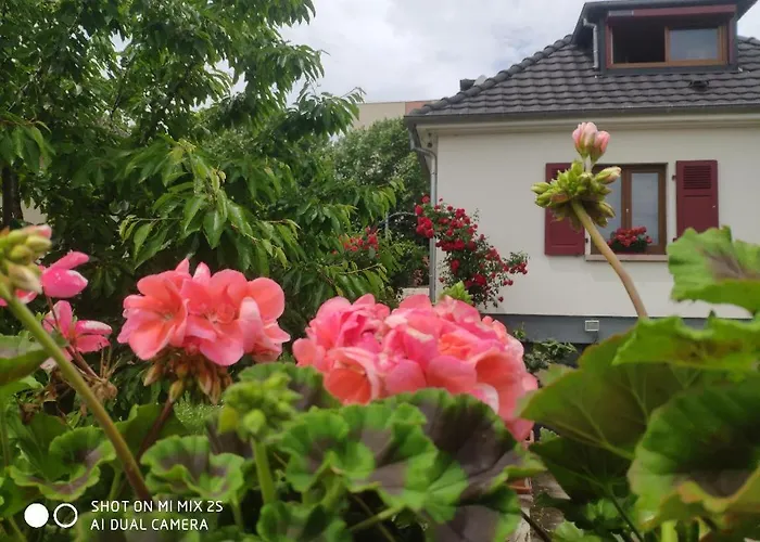 Room,chambre Privee Chez L'habitant,parking Voiture Devant La Maison,garage Moto Et Velo * Colmar